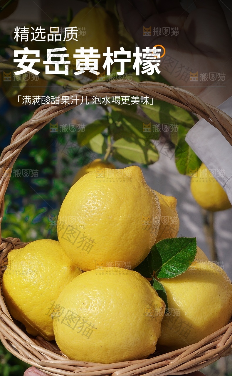 黄柠檬详情页