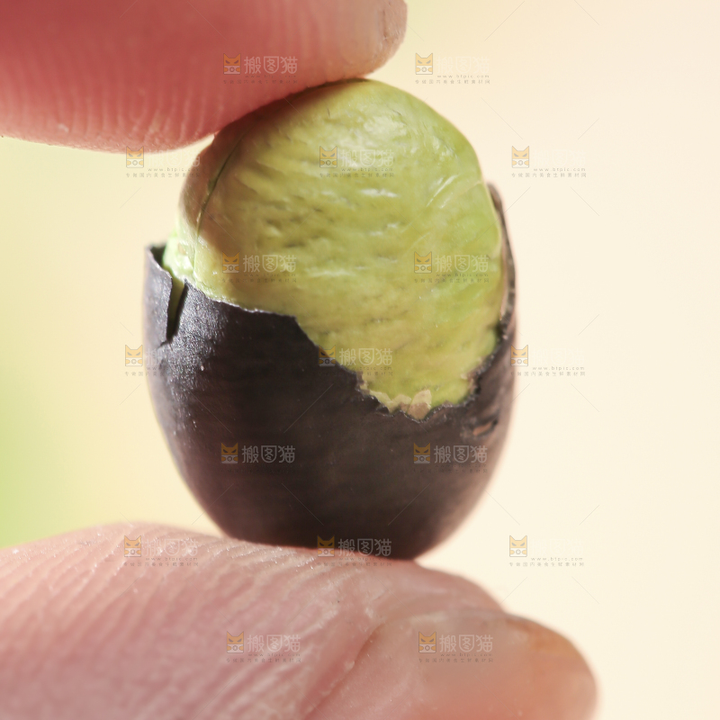 黑豆