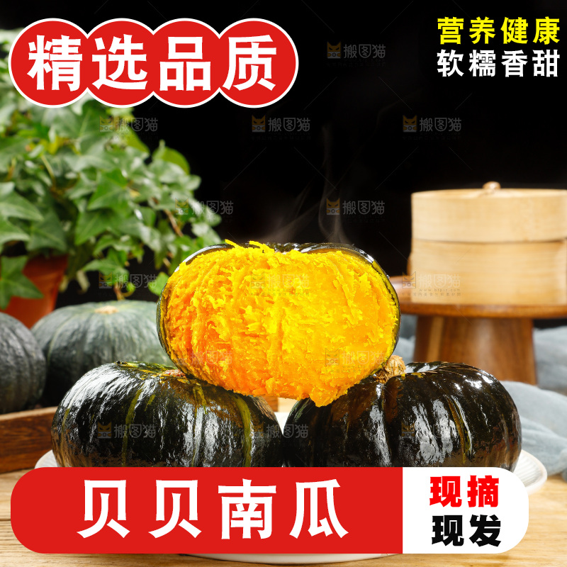 贝贝南瓜