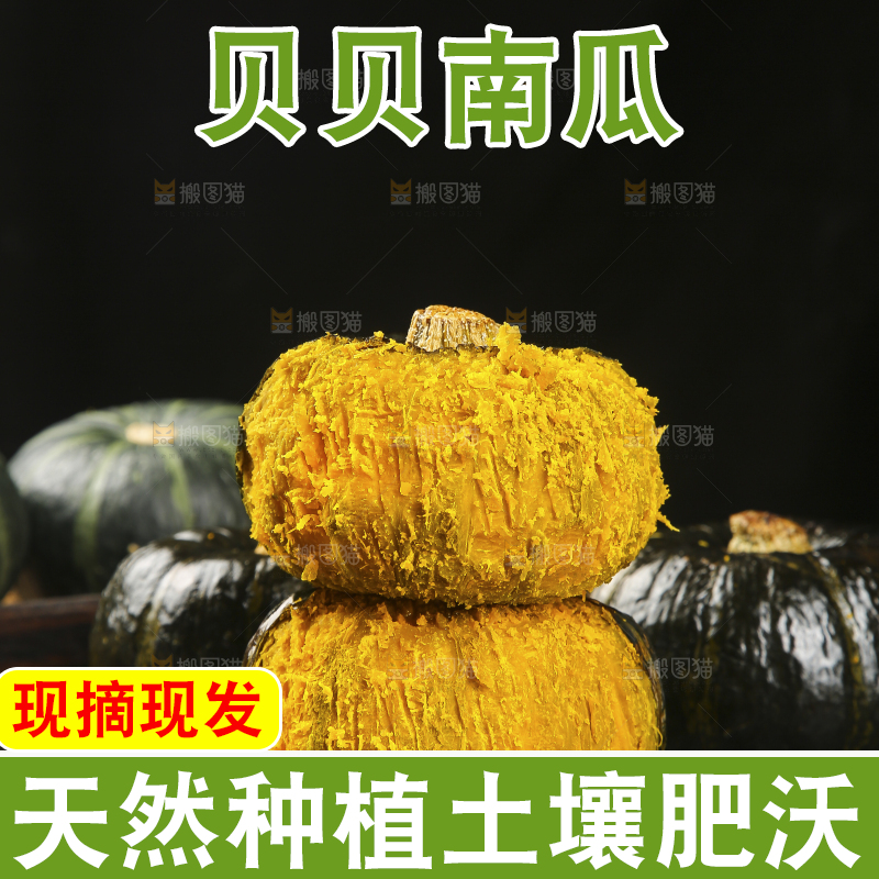 贝贝南瓜