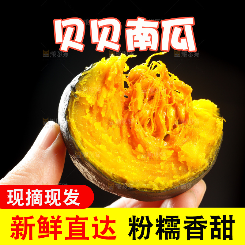 贝贝南瓜