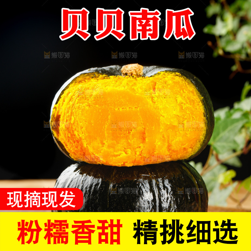 贝贝南瓜