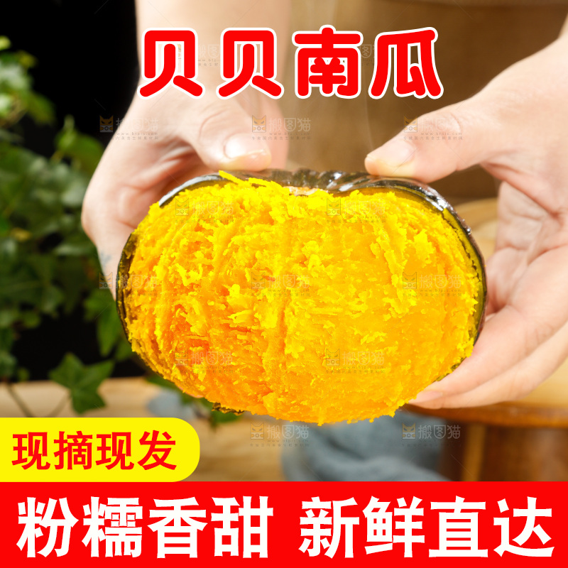 贝贝南瓜