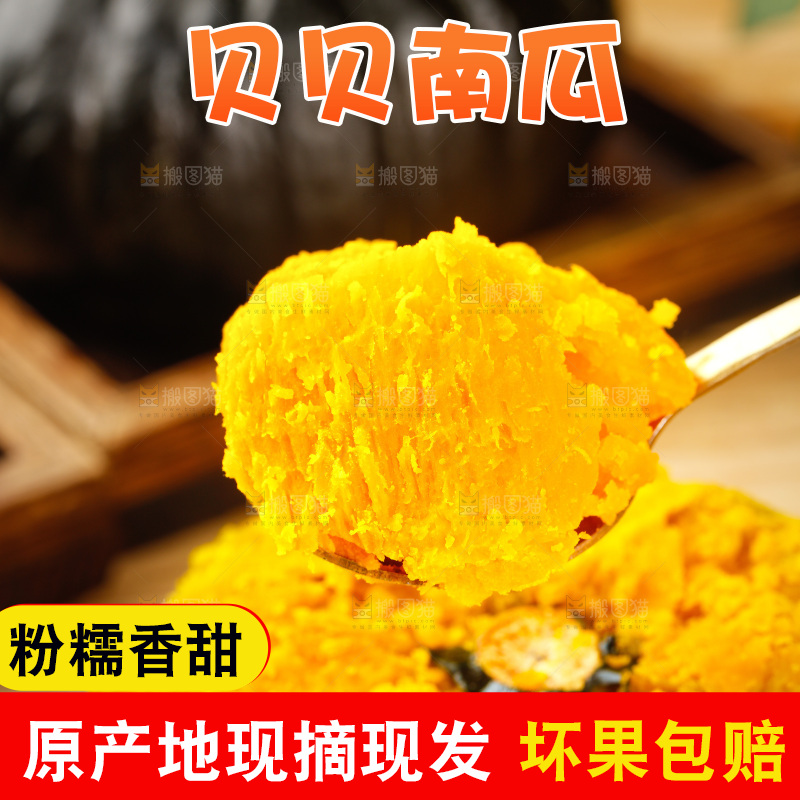 贝贝南瓜