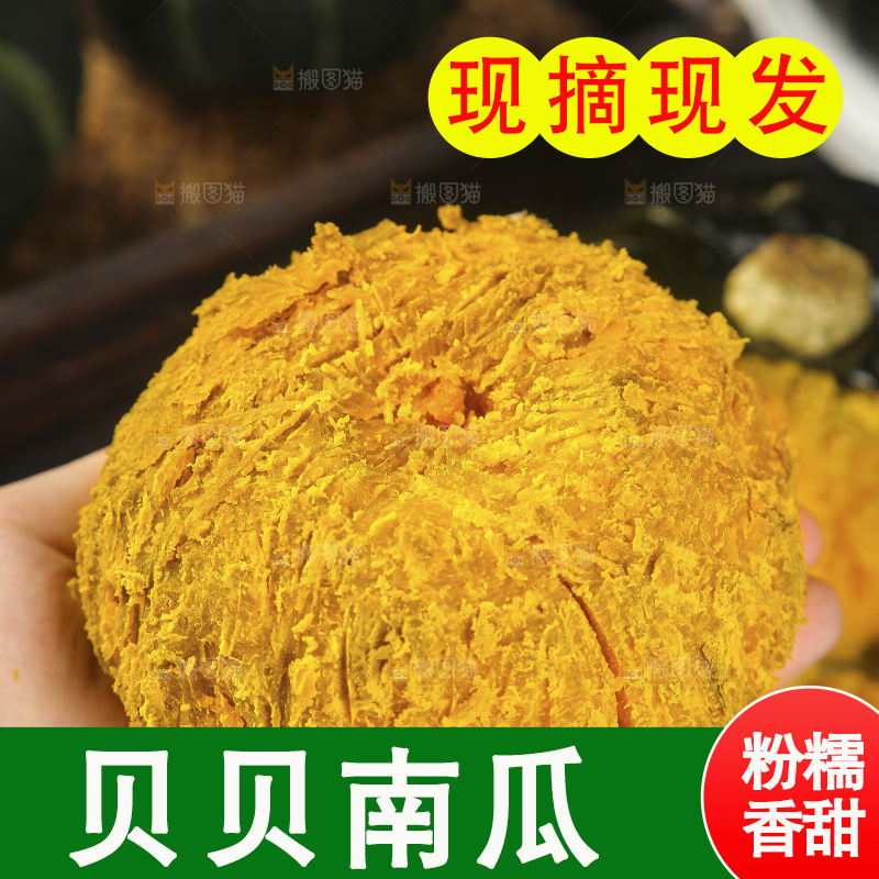 贝贝南瓜