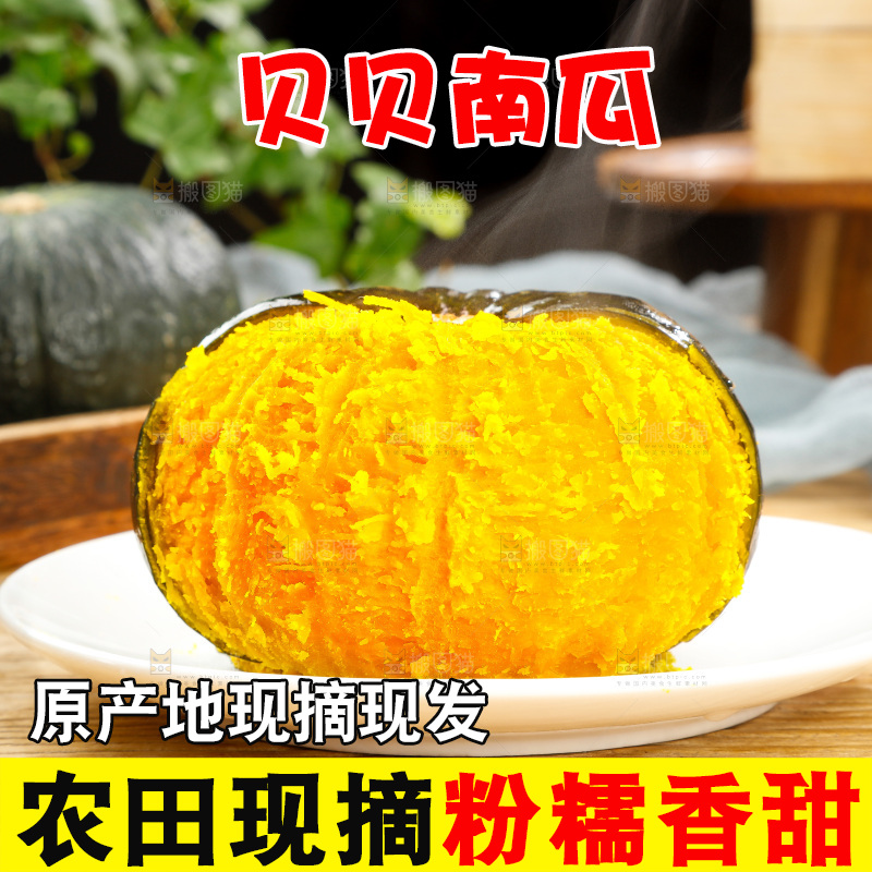 贝贝南瓜