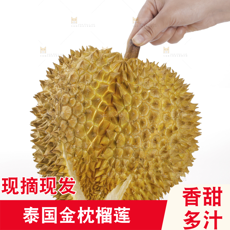 金枕榴莲