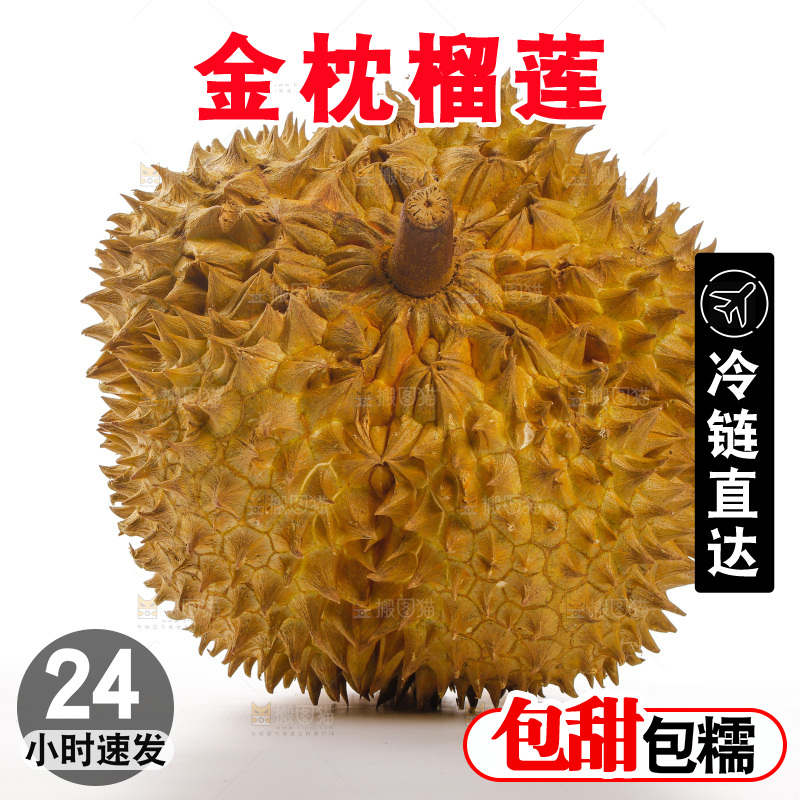 金枕榴莲