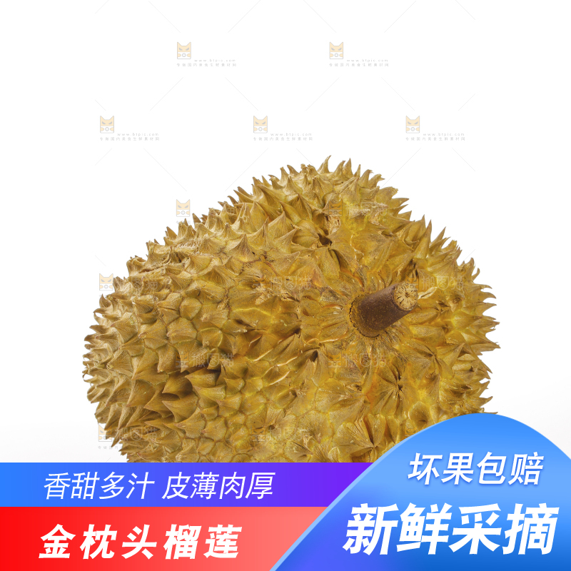 金枕榴莲