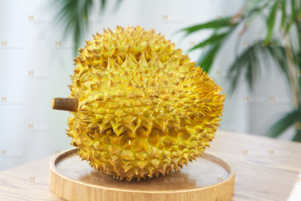 金枕榴莲