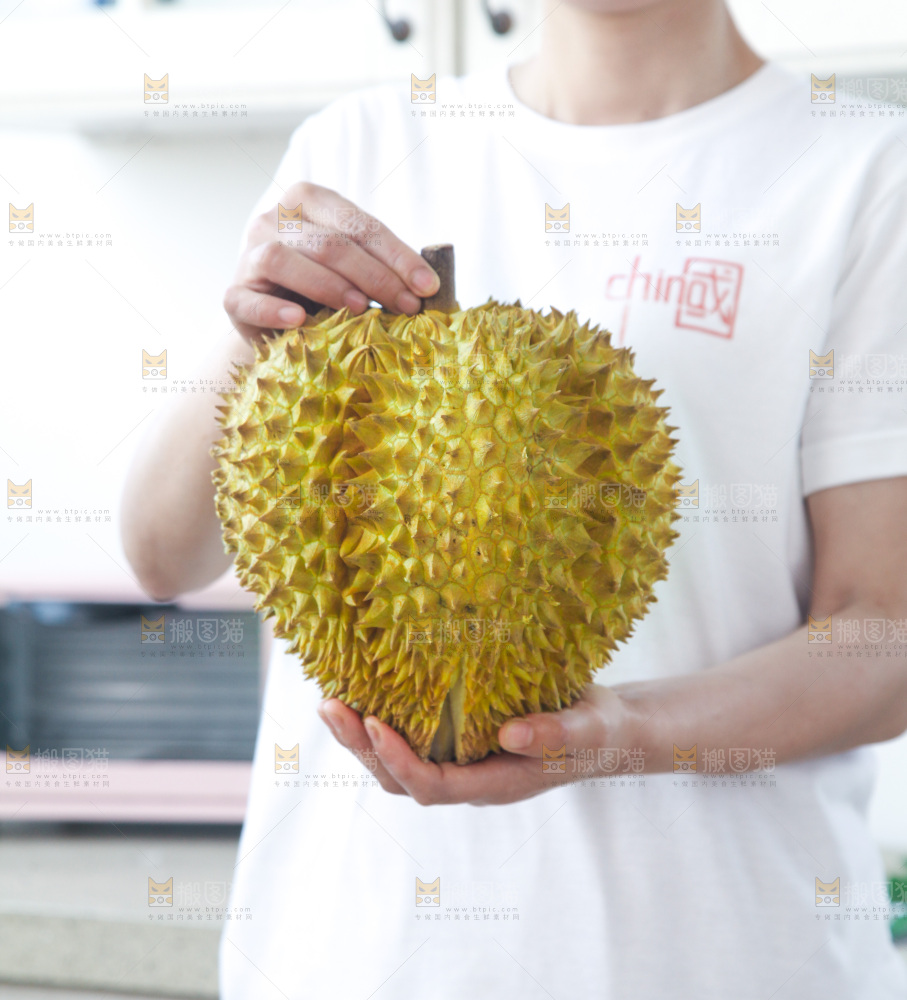金枕榴莲