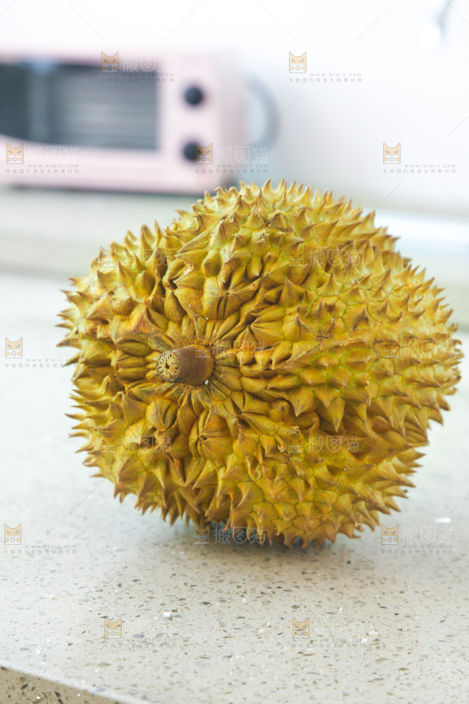 金枕榴莲