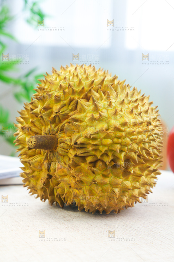 金枕榴莲