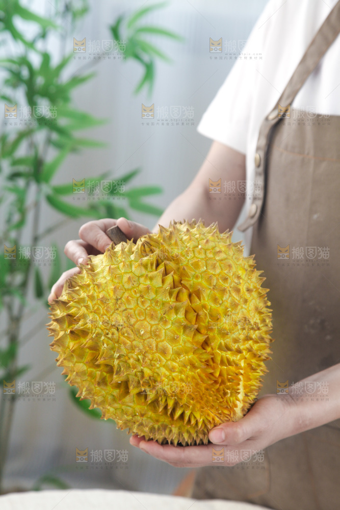 金枕榴莲