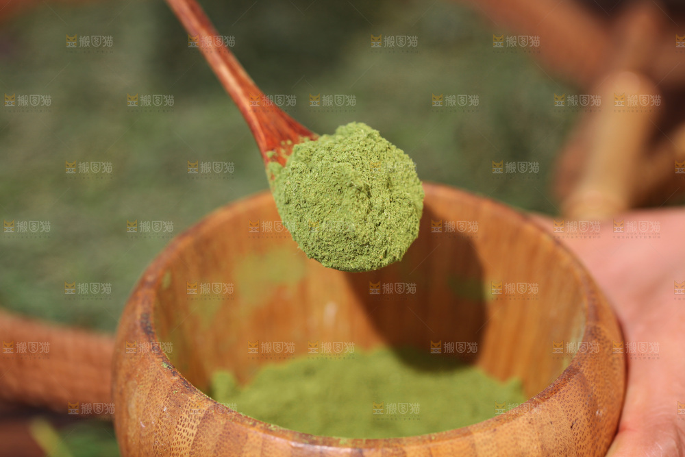 侧柏叶粉