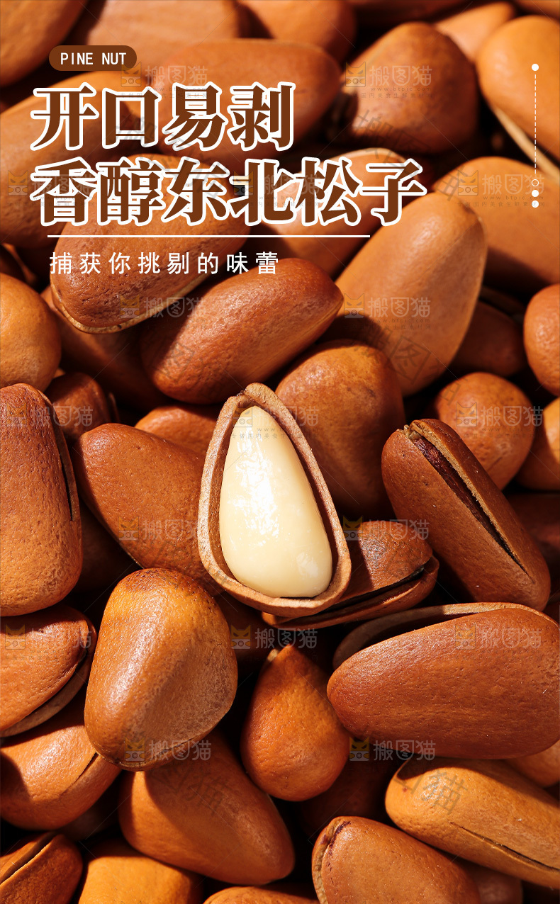 松子详情页