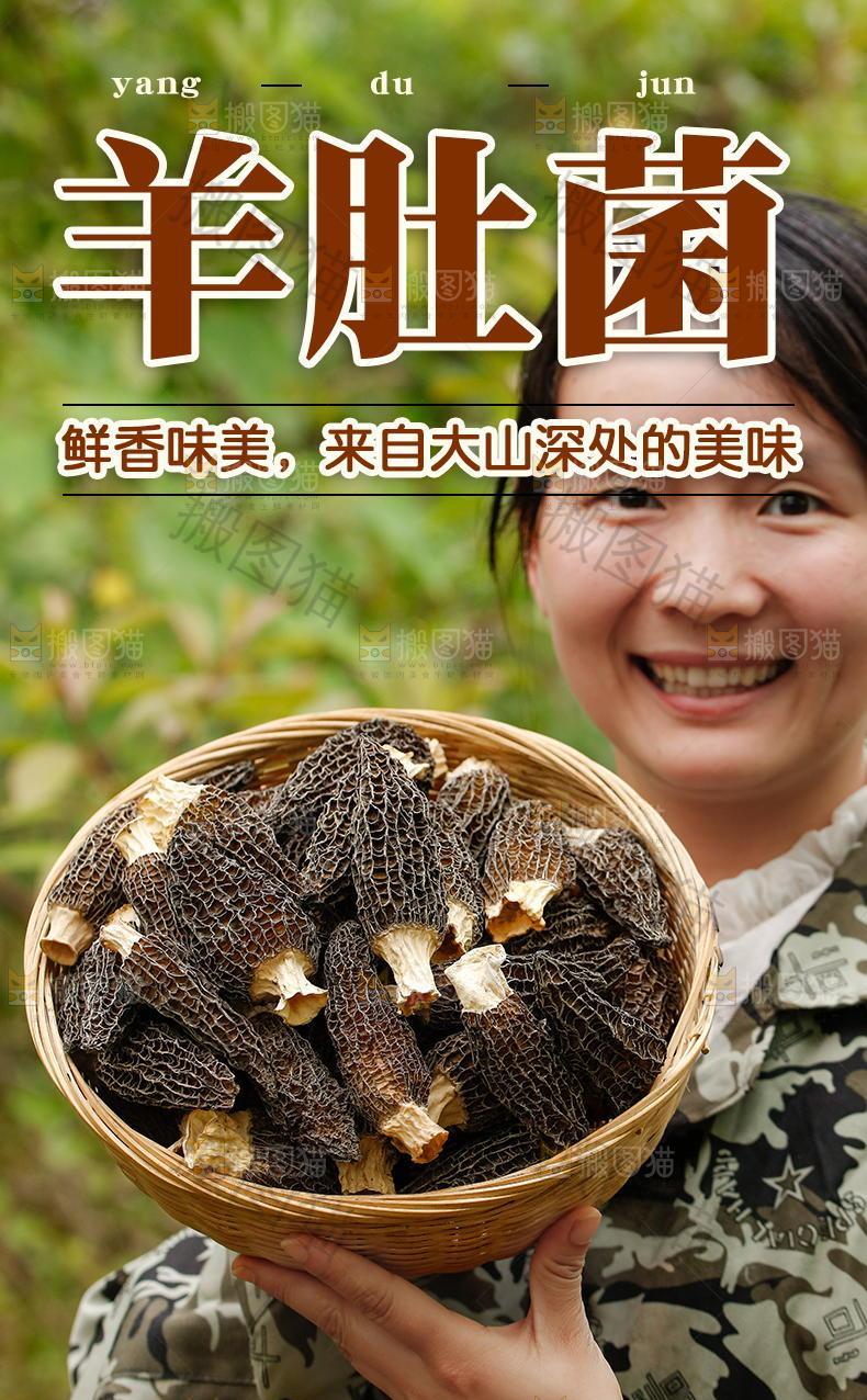 羊肚菌详情页