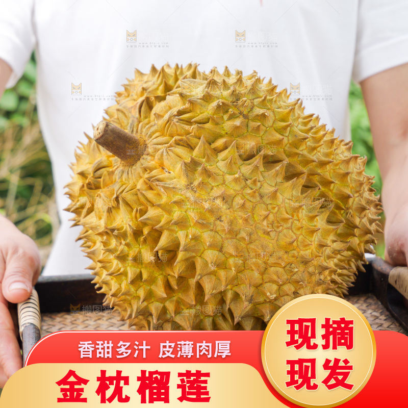 金枕榴莲