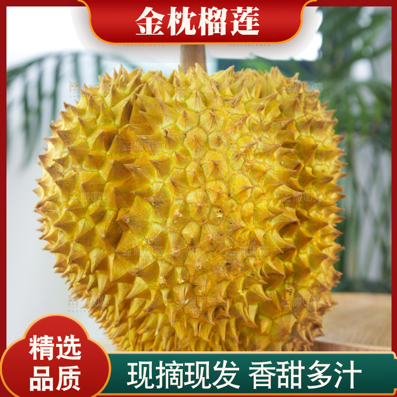 金枕榴莲