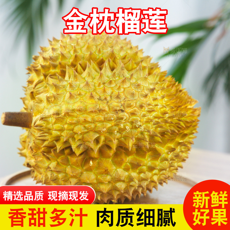 金枕榴莲