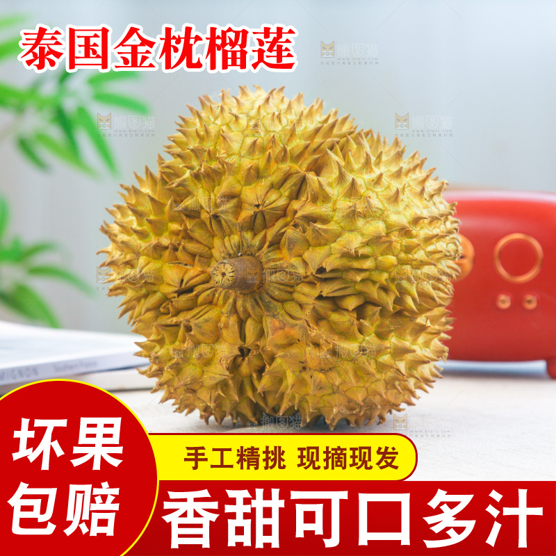 金枕榴莲