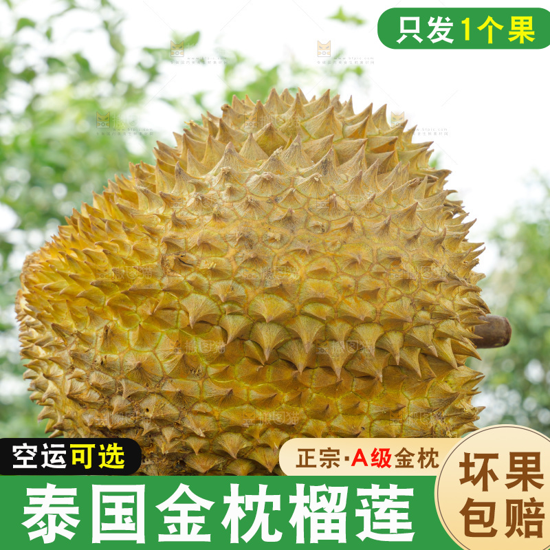 金枕榴莲