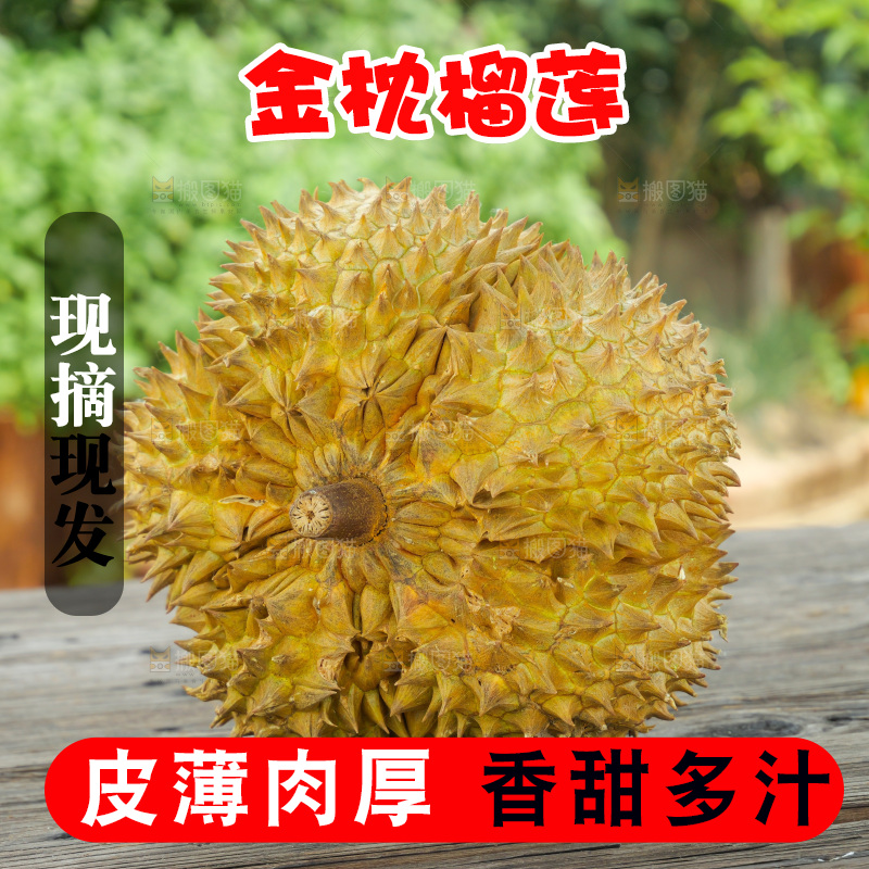金枕榴莲