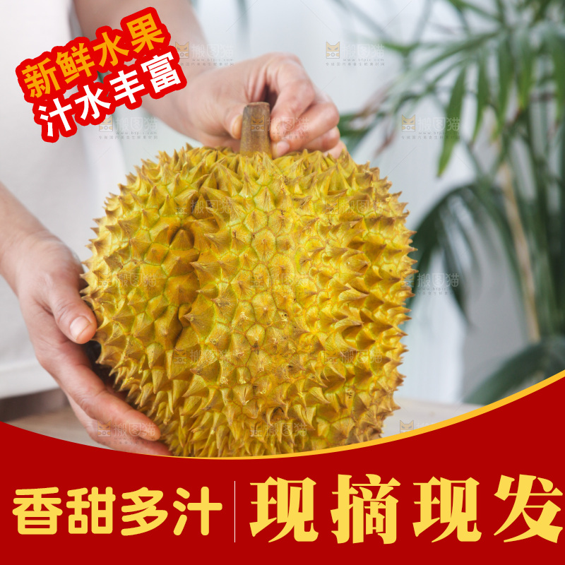 金枕榴莲