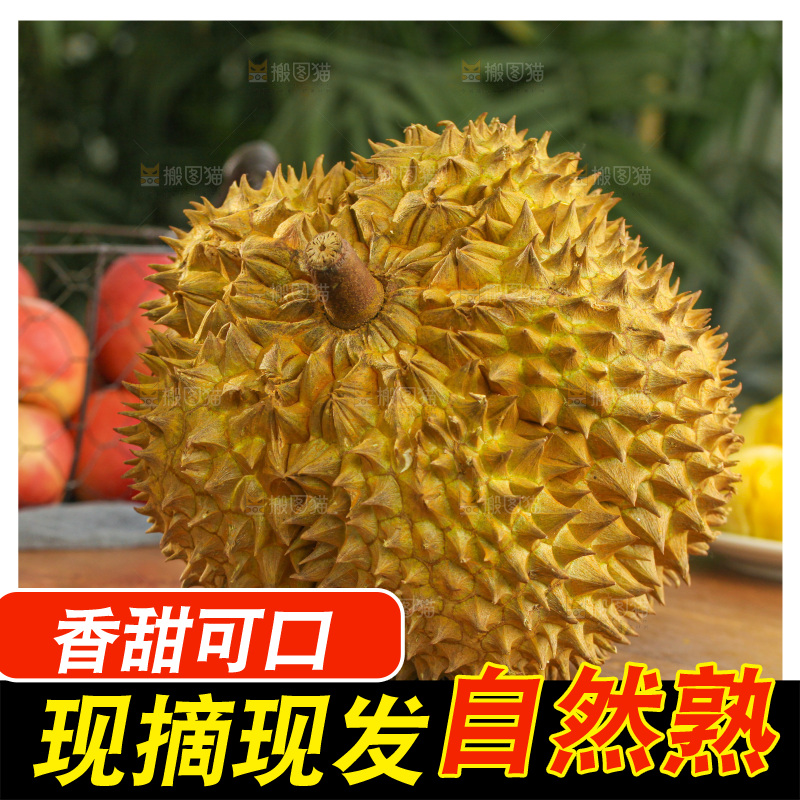 金枕榴莲