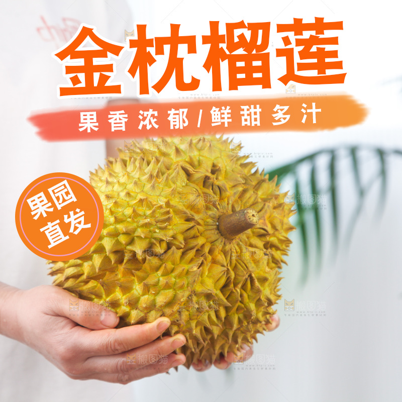 金枕榴莲
