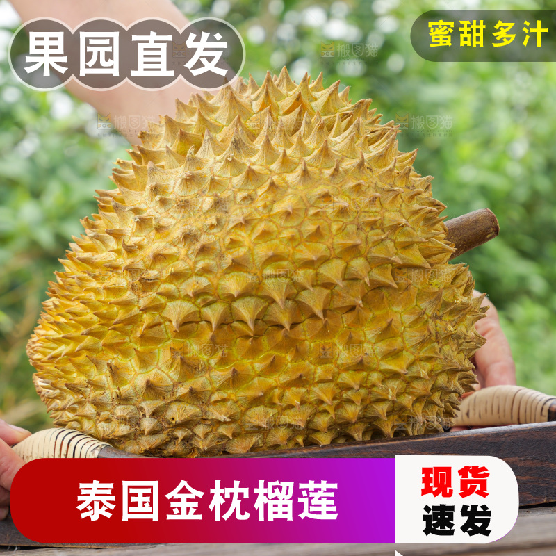 金枕榴莲