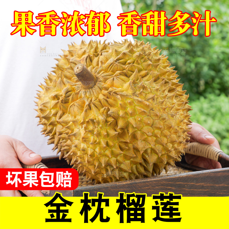 金枕榴莲