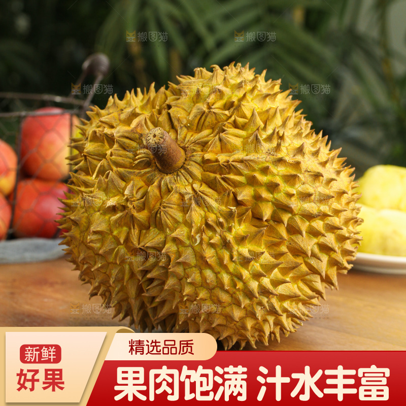 金枕榴莲