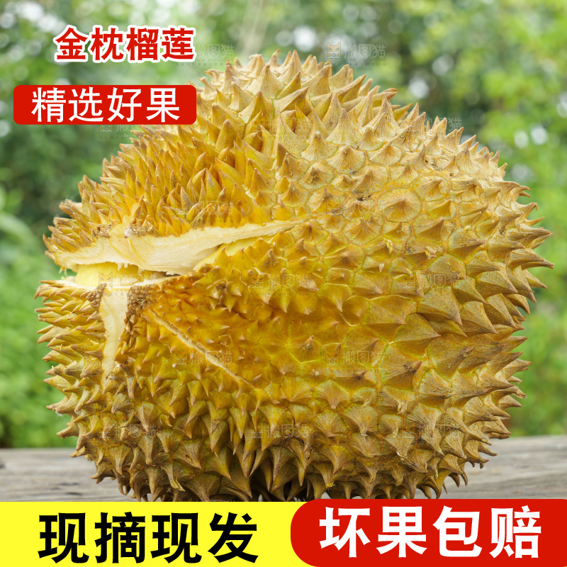 金枕榴莲