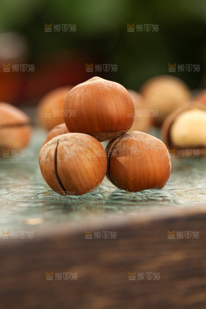 榛子