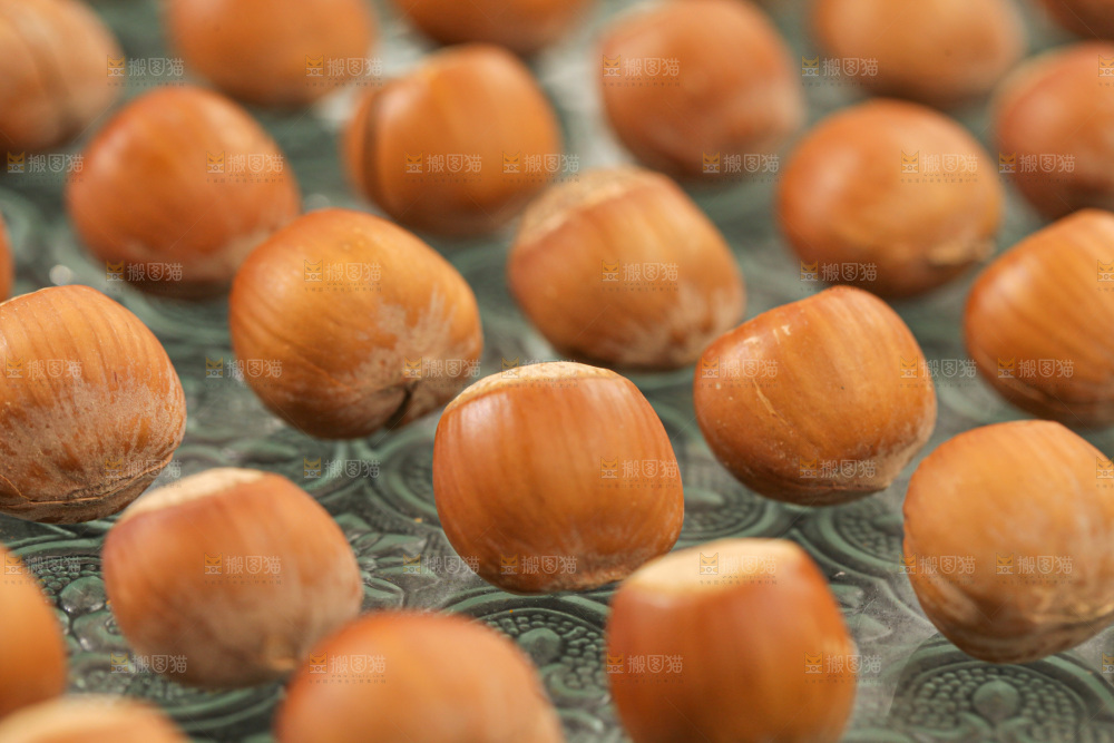 榛子