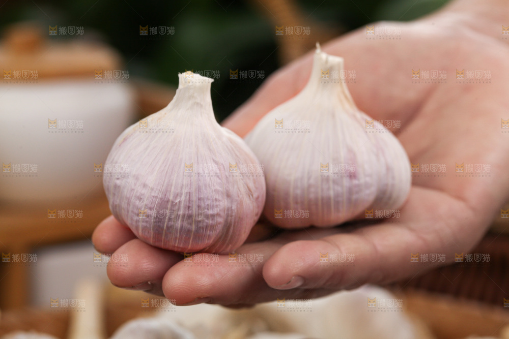 大蒜