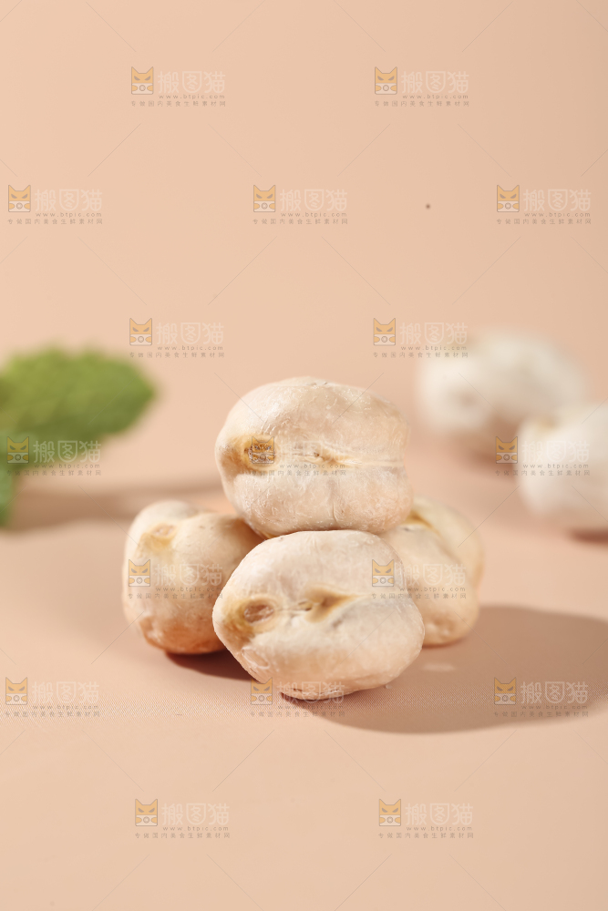 鹰嘴豆