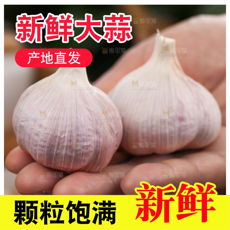 大蒜