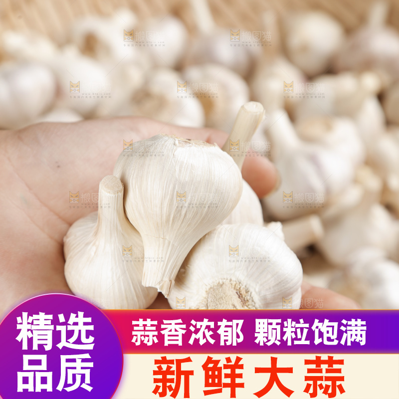 大蒜