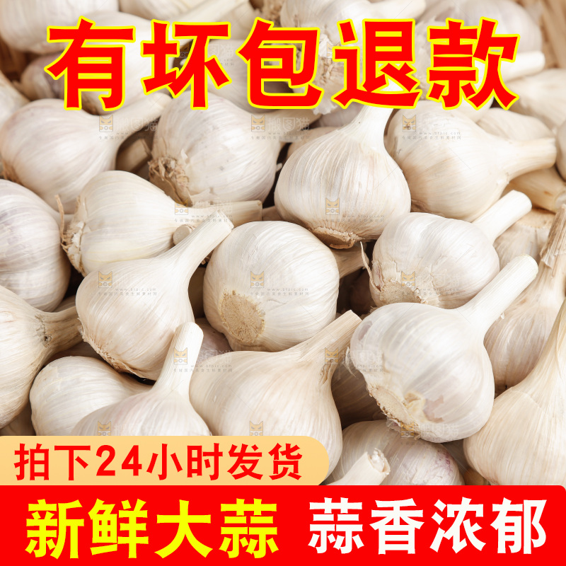 大蒜