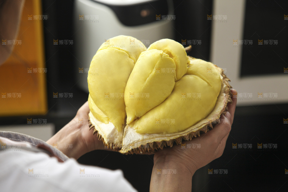 金枕榴莲
