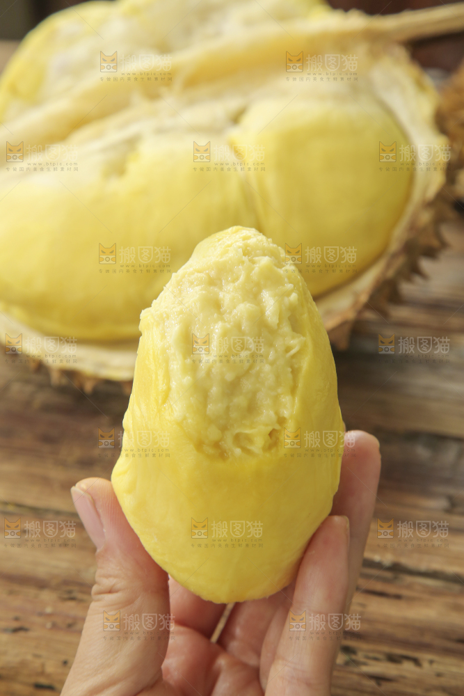 金枕榴莲