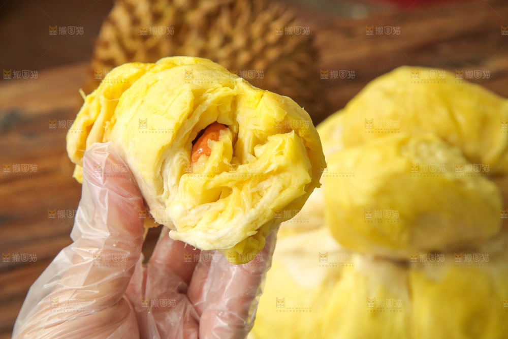 金枕榴莲