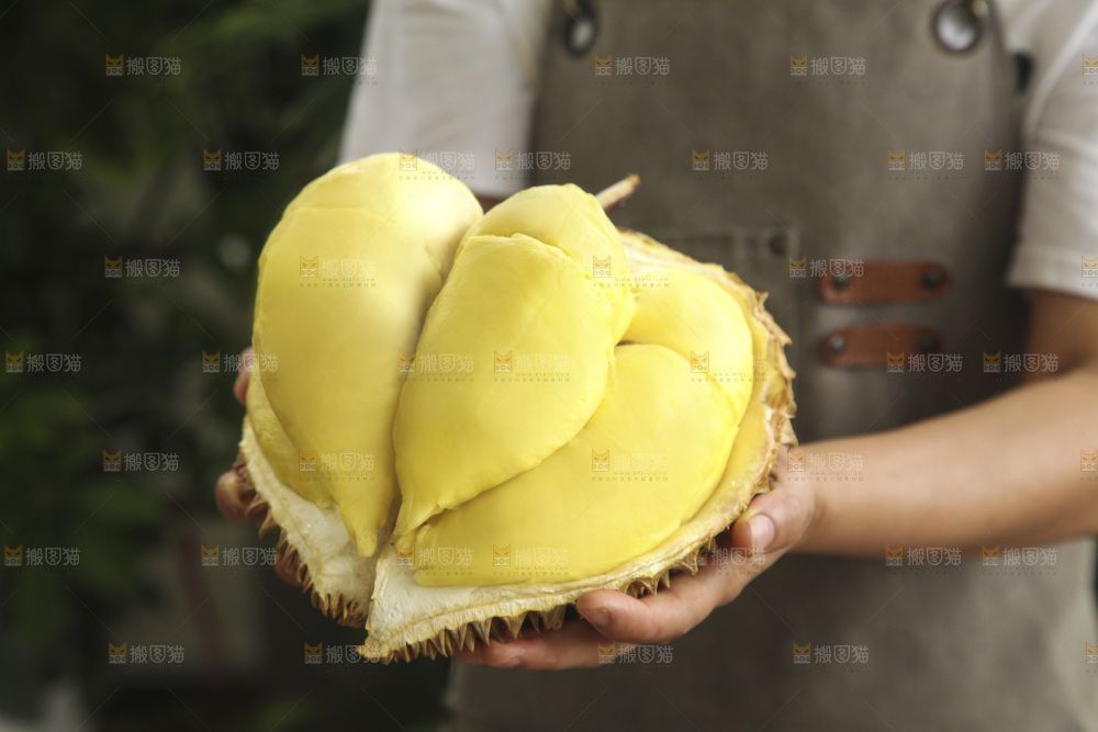 金枕榴莲