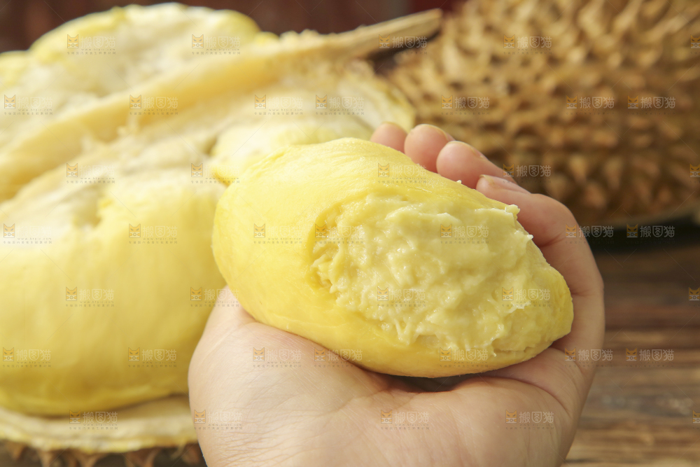 金枕榴莲