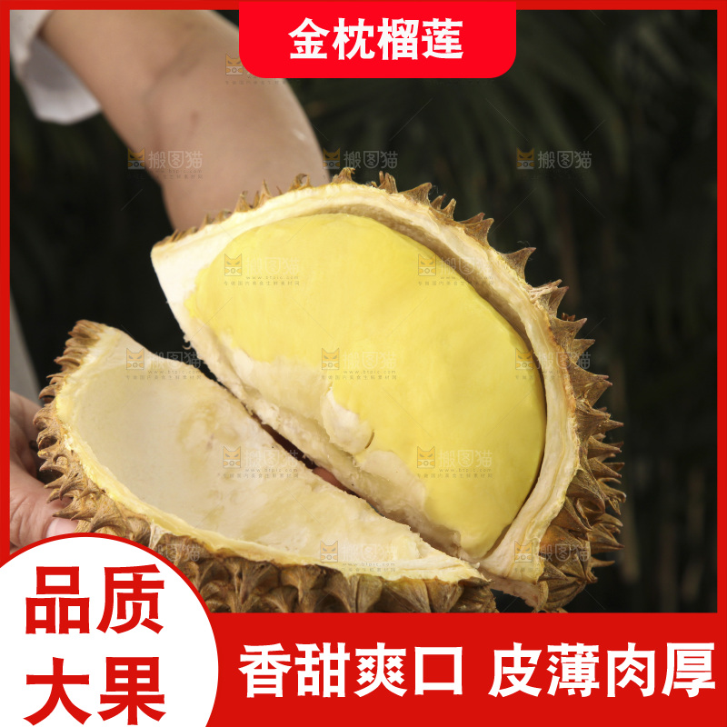 金枕榴莲