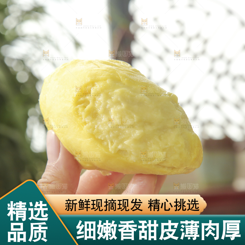 金枕榴莲