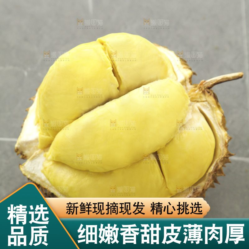 金枕榴莲