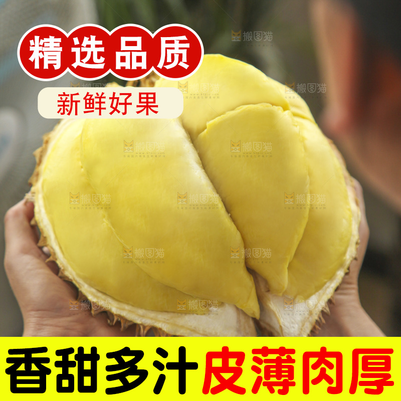 金枕榴莲